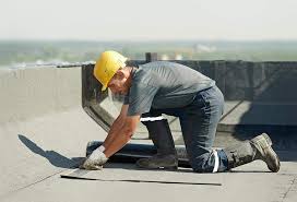 Best Roof Maintenance and Cleaning  in Savannah, TN